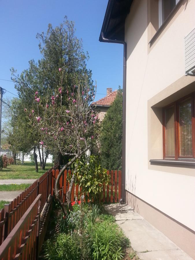 Sweet Dreams Apartment Arandjelovac Exterior photo